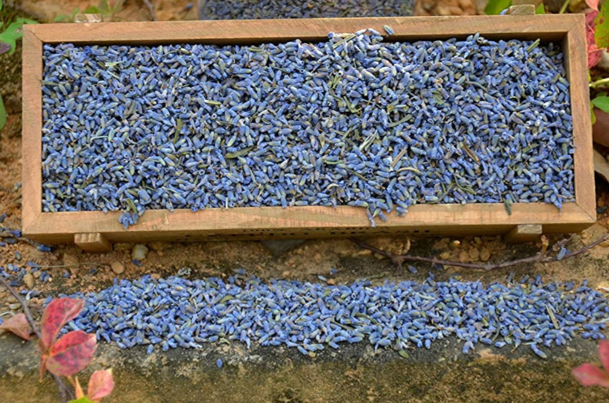Ultra Blue Dried Lavender